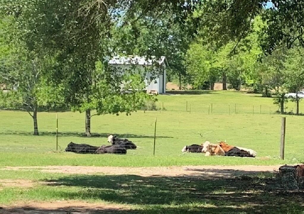 Photo of Others in Graceville