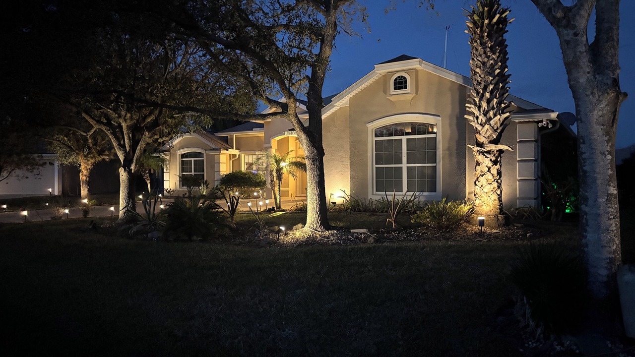 Photo of Outdoor in Palm Harbor