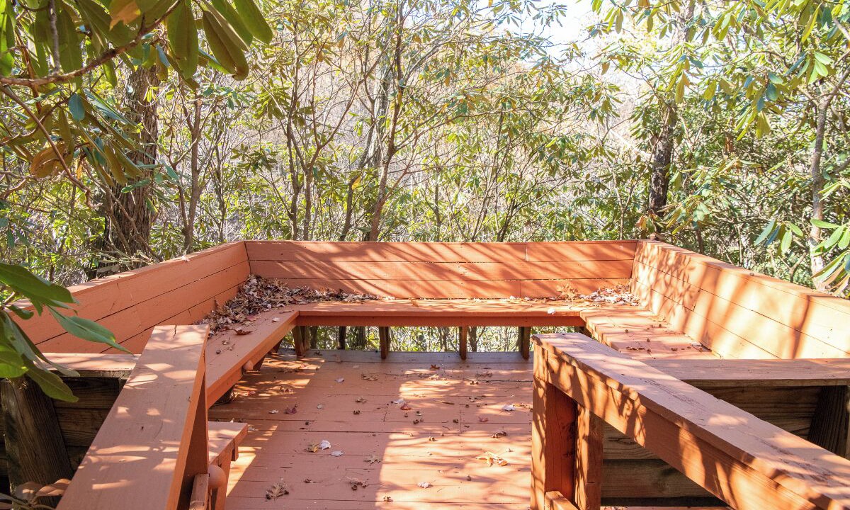Photo of Outdoor in Smoky Mountains