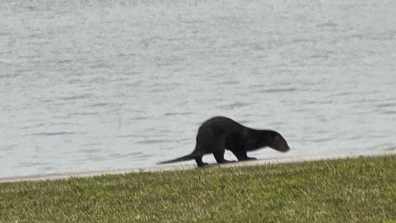 Photo of Others in Palatka
