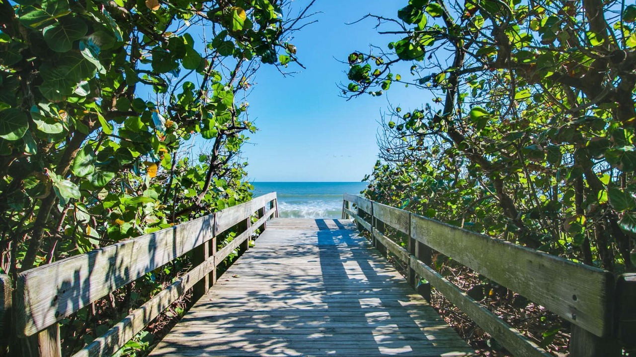 Photo of Others in Satellite Beach