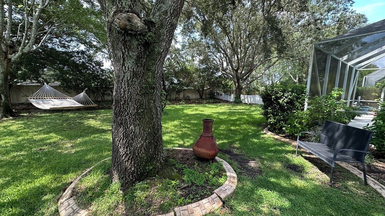 Photo of Outdoor in Spruce Creek
