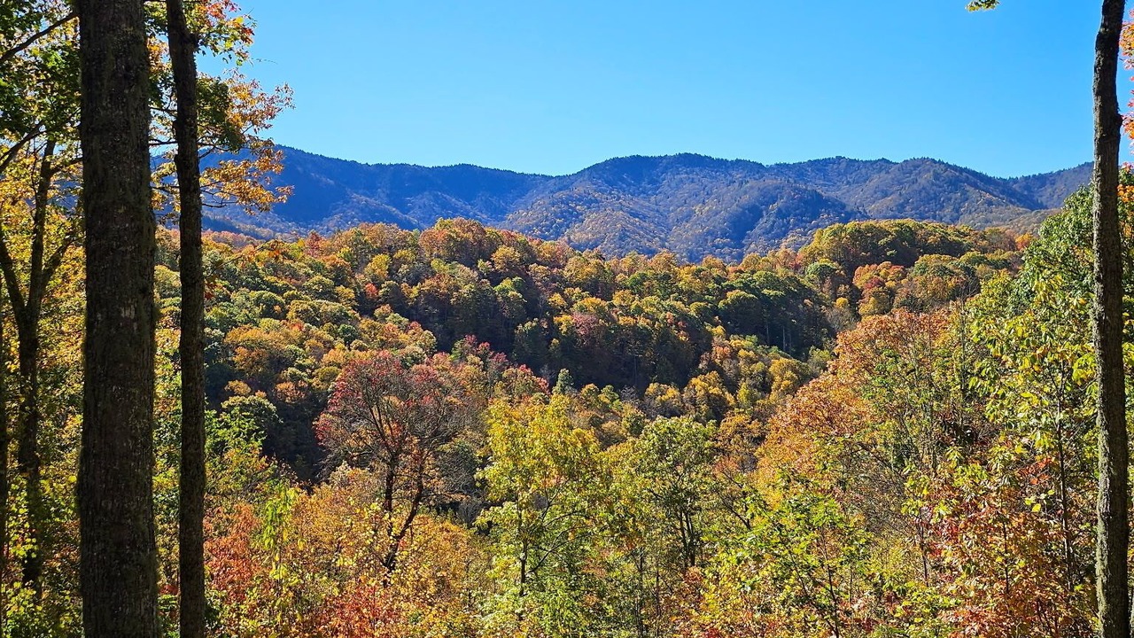 Photo of Others in Cranberry Falls