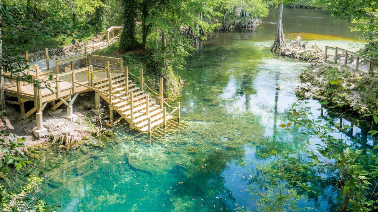 Photo of Others in Live Oak