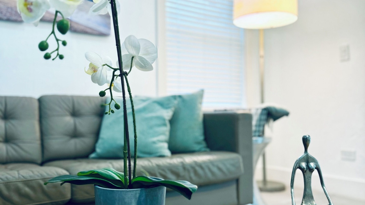 Photo of Livingroom in Biscayne Park