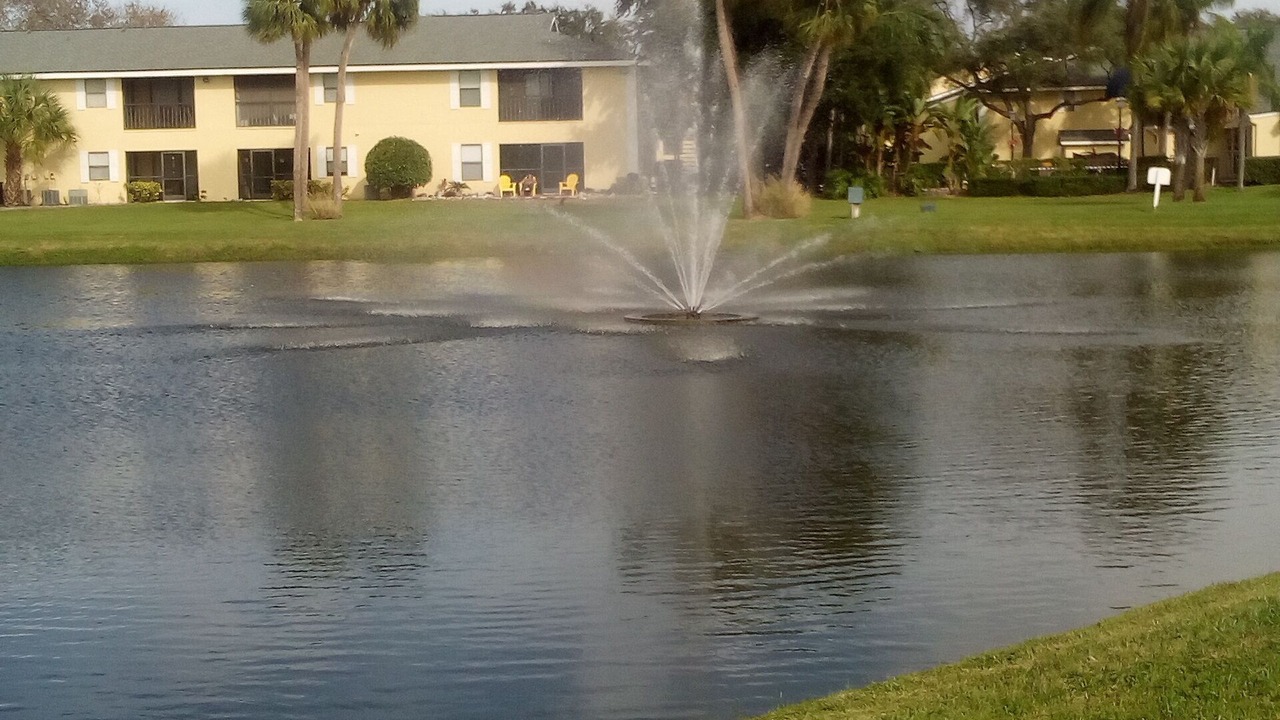 Photo of Outdoor in Pinellas Point