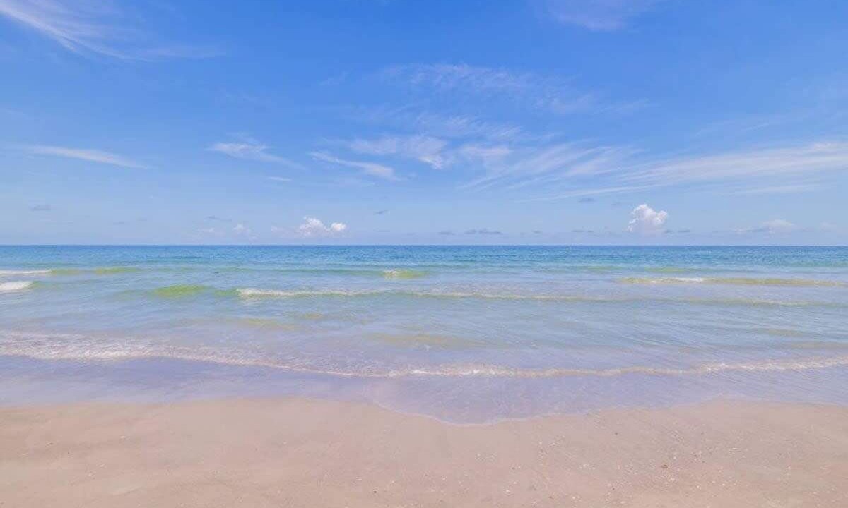 Photo of Others in Indian Shores