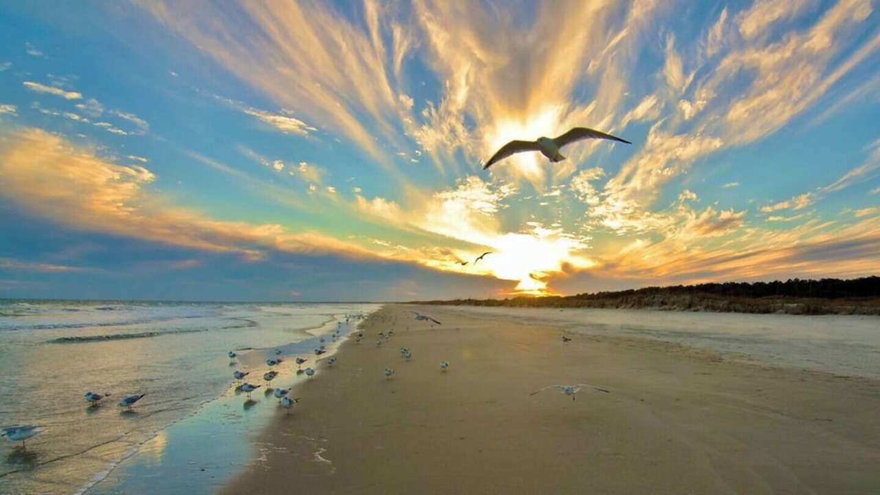 Photo of Others in Murrells Inlet