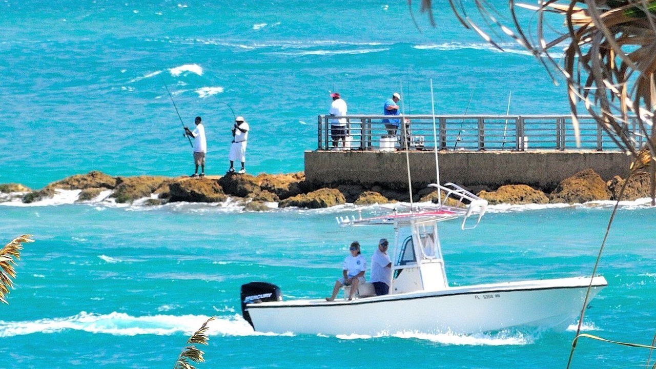 Photo of Others in Sebastian Highlands