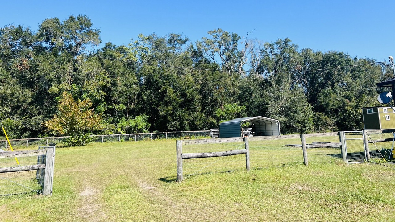 Photo of Outdoor in Reddick