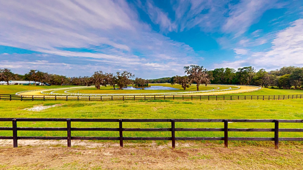 Photo of Others in Micanopy