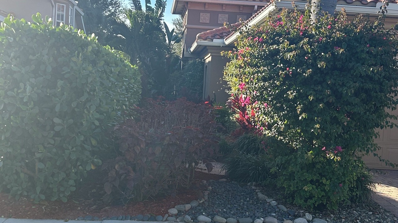 Photo of Outdoor in Ole