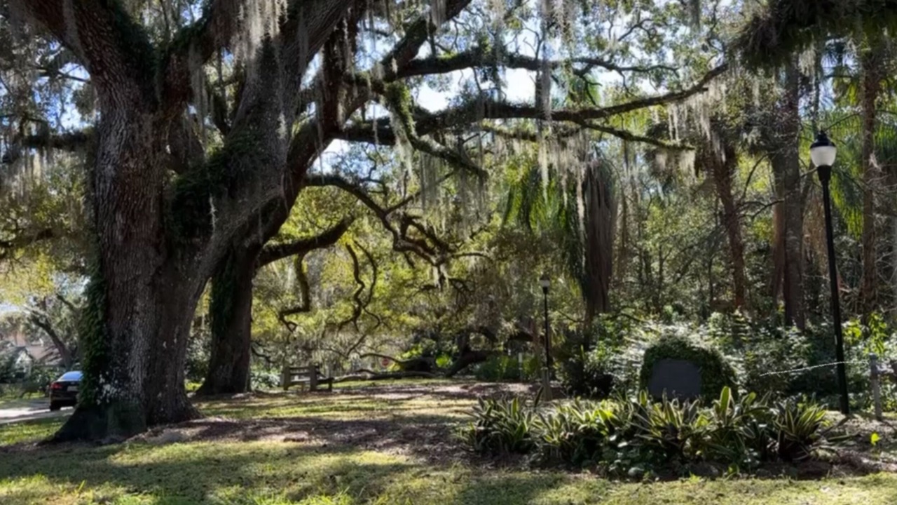 Photo of Outdoor in Colonialtown South