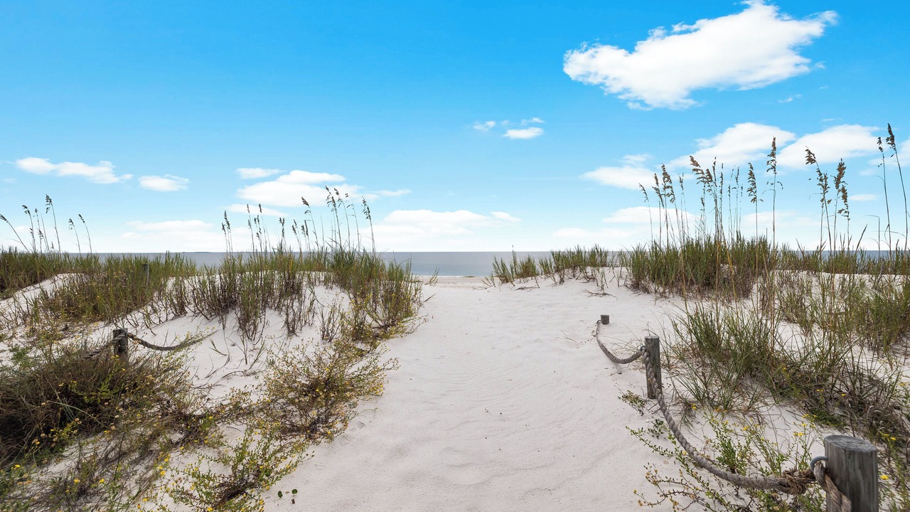 Photo of Others in Port St. Joe