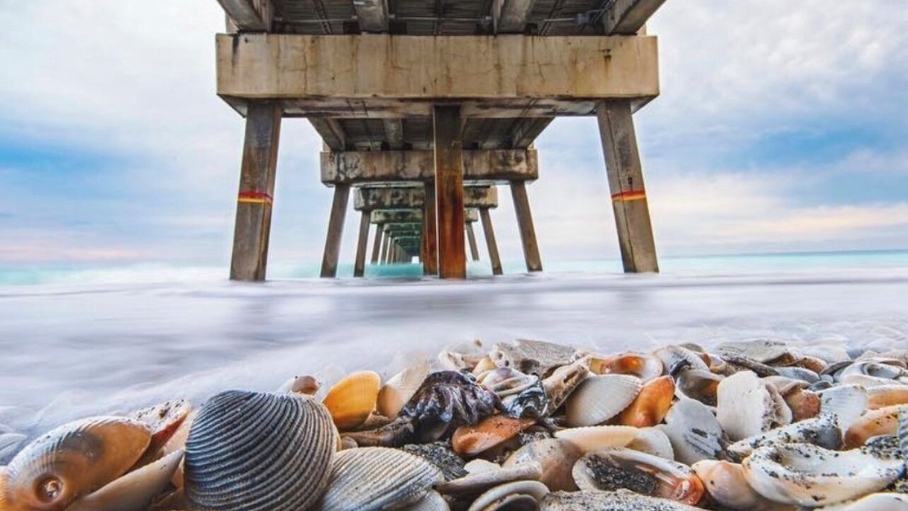Photo of Others in Juno Beach