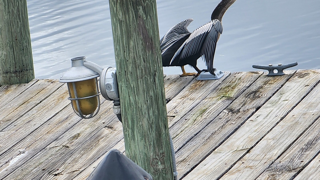 Photo of Others in South Gulf Cove