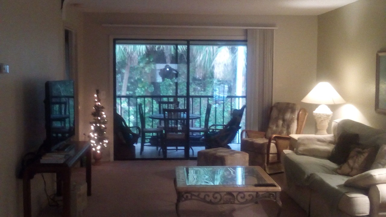 Photo of Livingroom in Pinellas Point