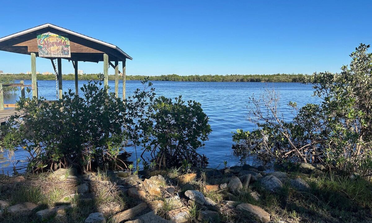 Photo of Others in Port Orange