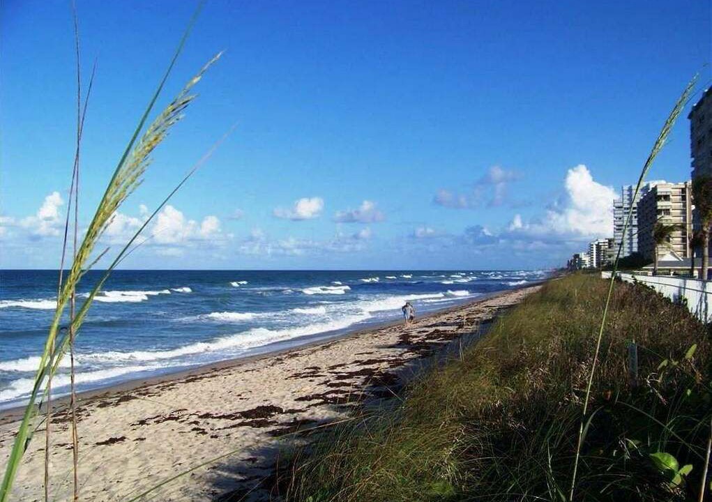 Photo of Others in Nettles Island