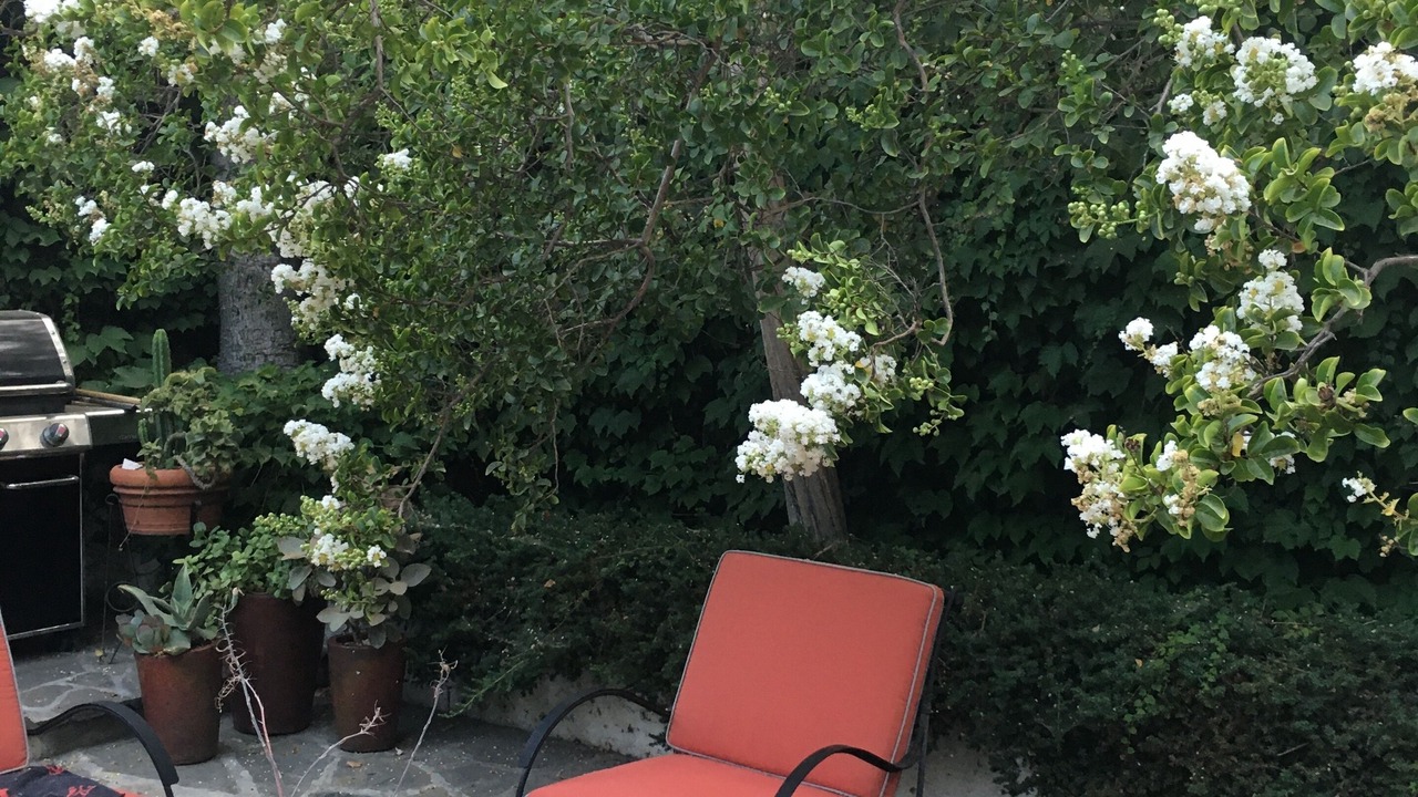 Photo of Patio Balcony in South Miami
