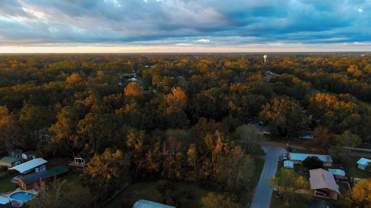 Photo of Outdoor in Newberry
