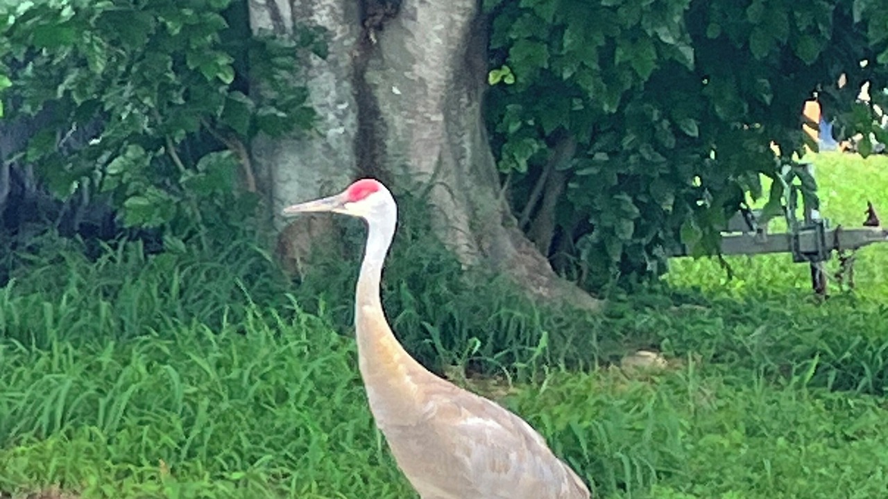 Photo of Others in Hobe Sound