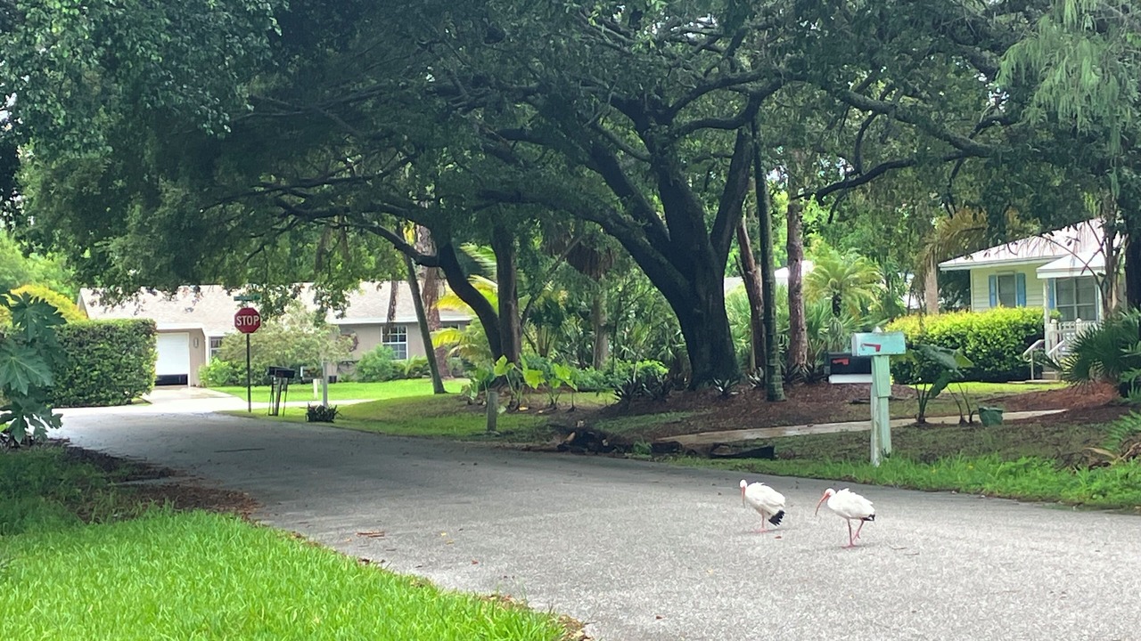 Photo of Outdoor in Hobe Sound