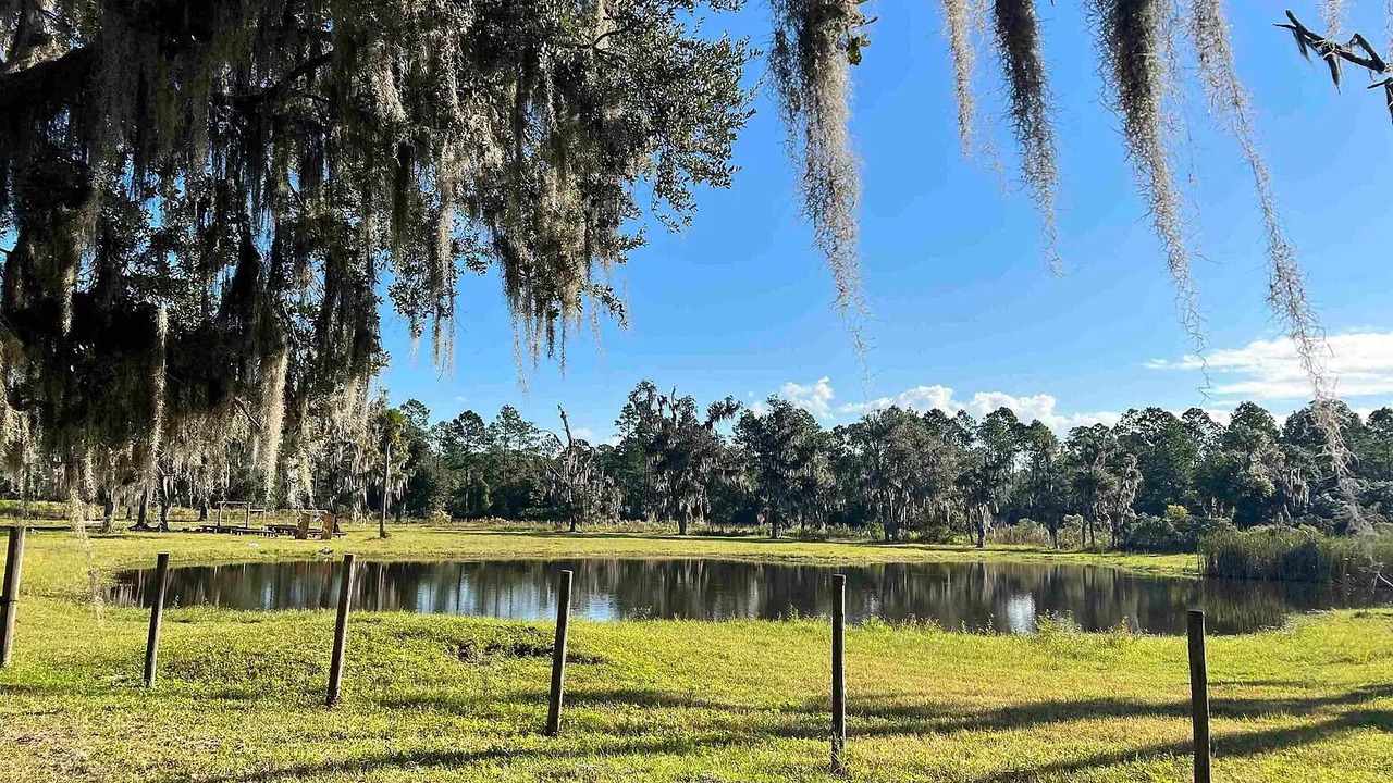Photo of Others in East Palatka