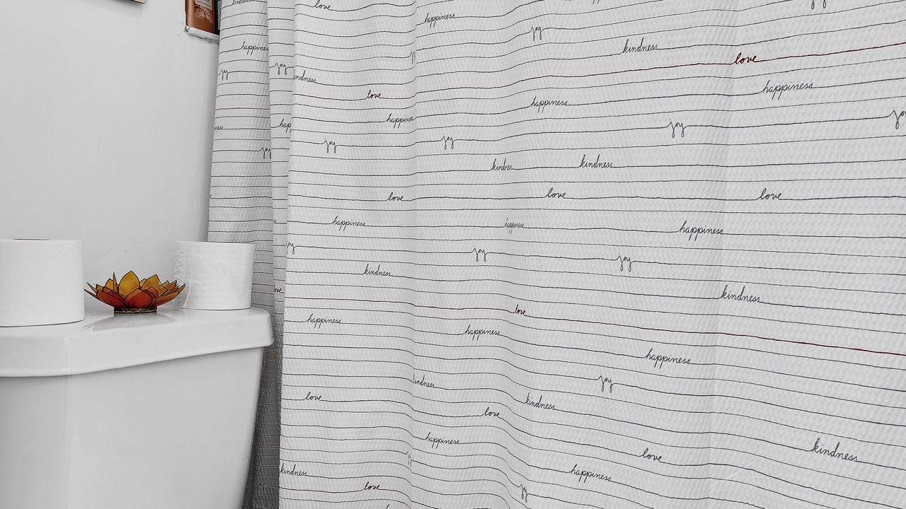 Photo of Bathroom in Liberty City