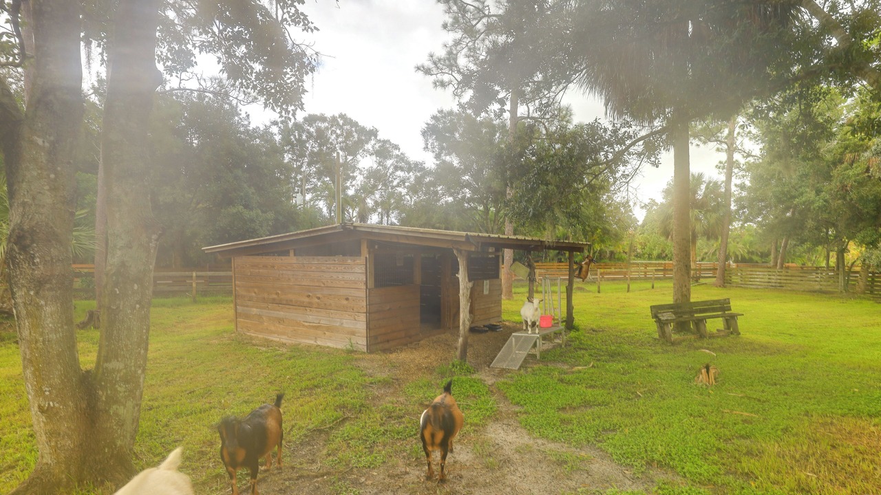 Photo of Outdoor in Palm City