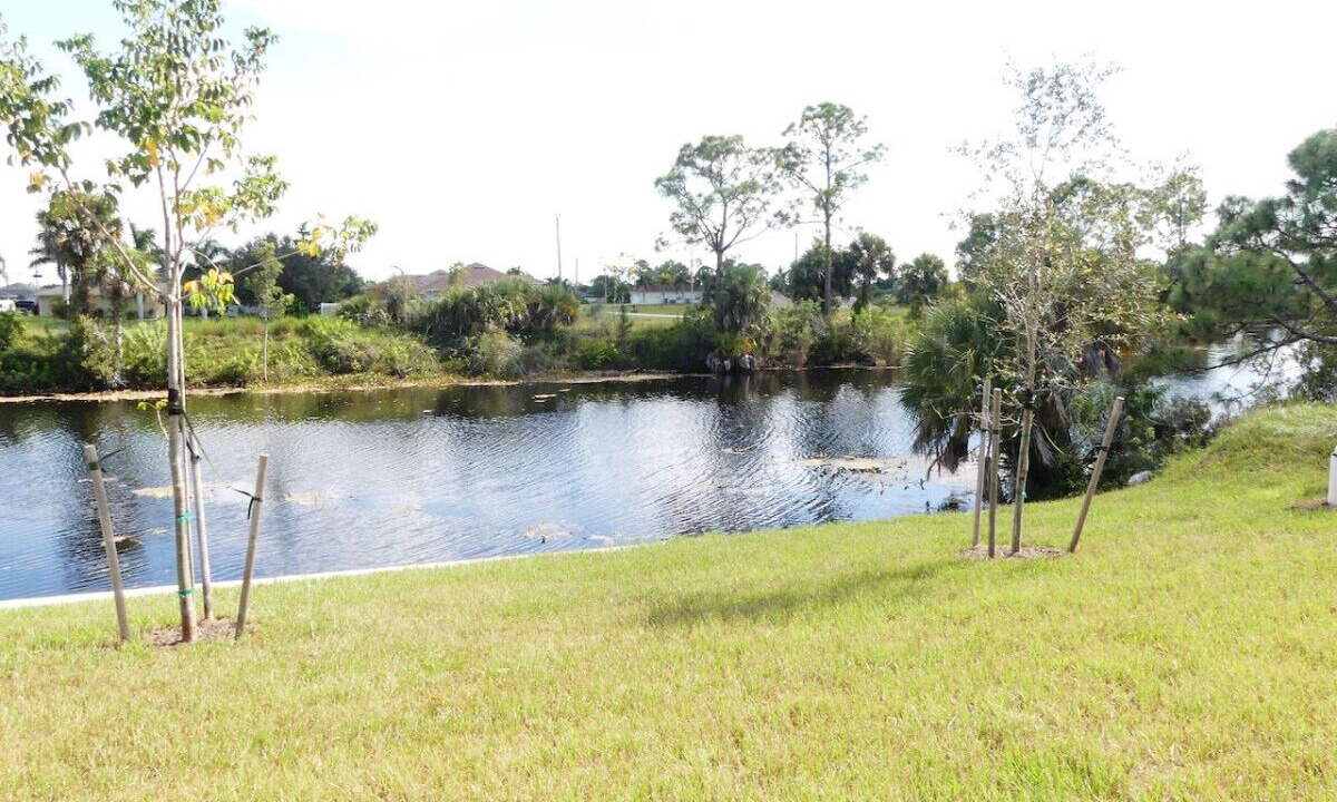 Photo of Outdoor in Jacarandas