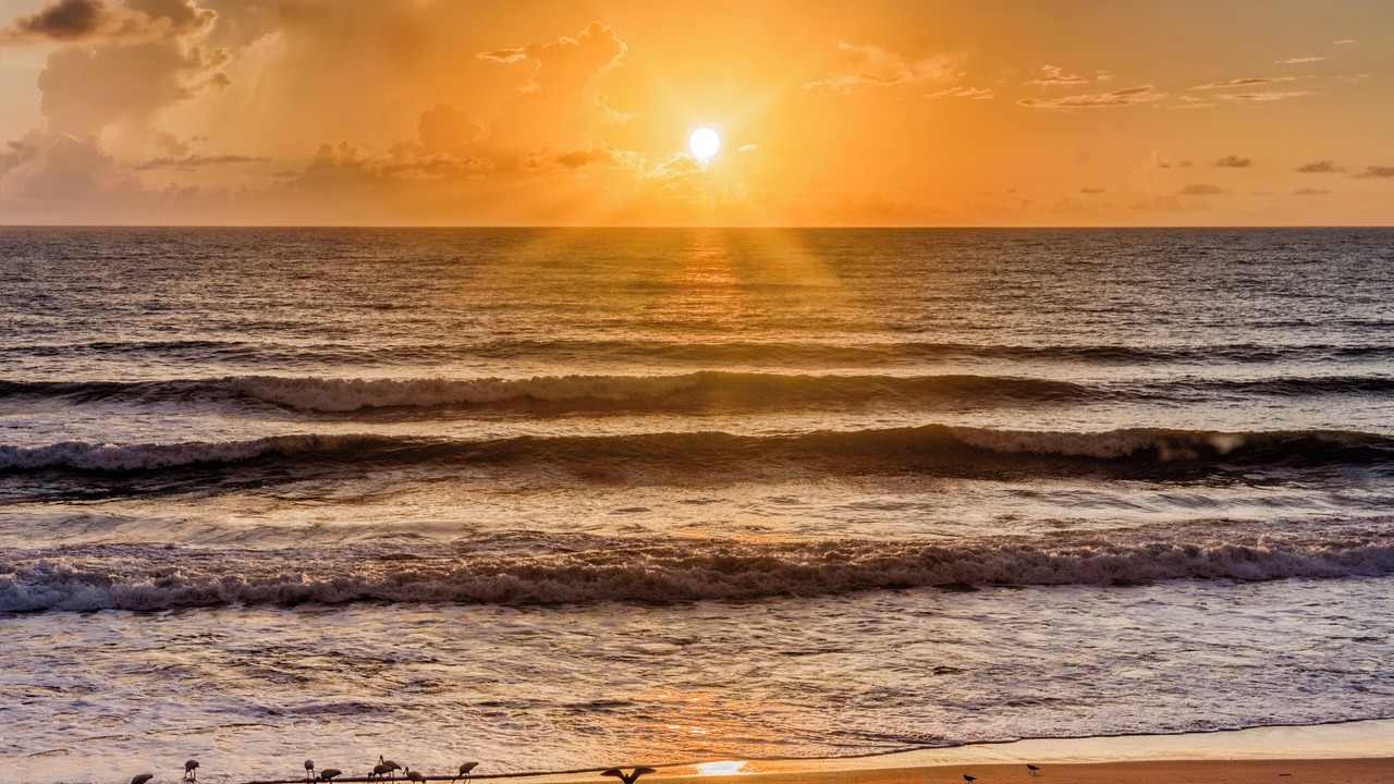 Photo of Others in Melbourne Beach