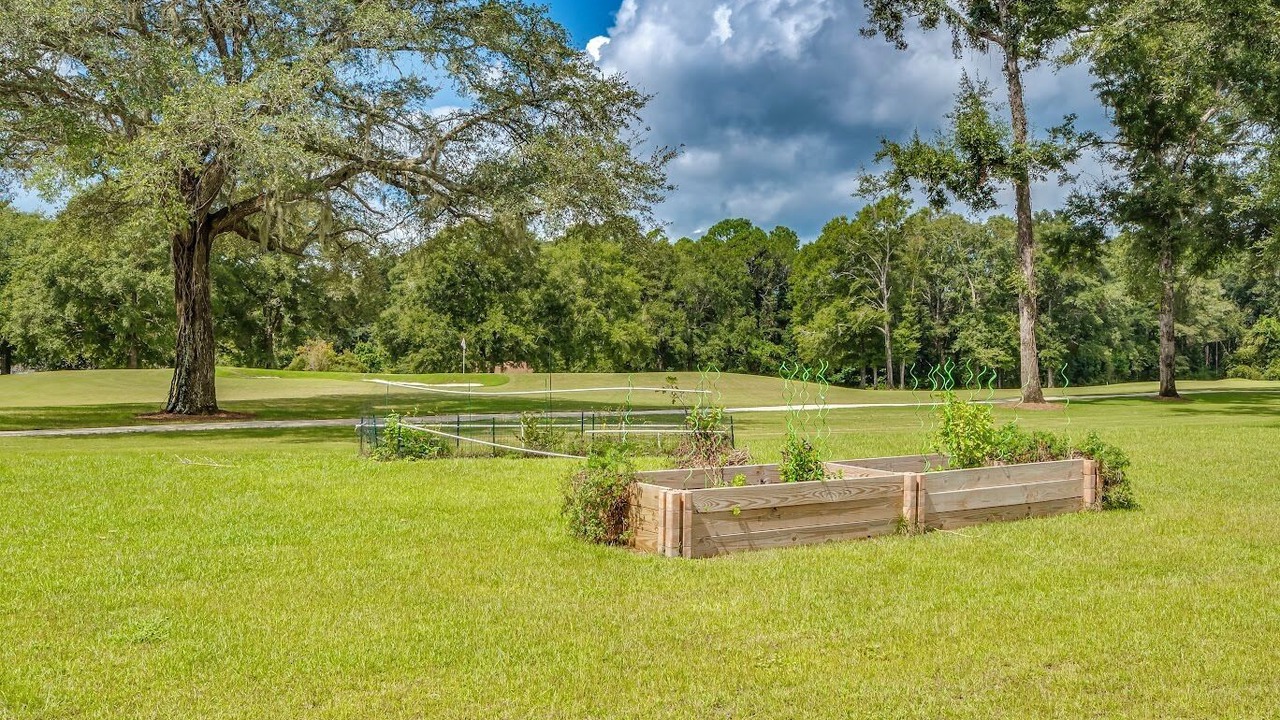 Photo of Outdoor in Crawfordville