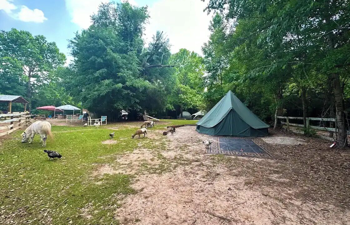 Photo of Others in Tallahassee