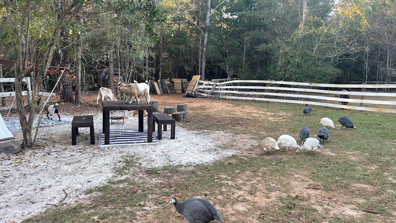 Photo of Outdoor in Tallahassee