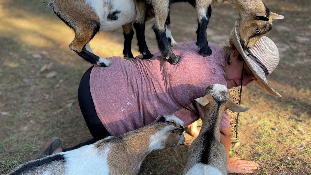 Photo of Others in Tallahassee