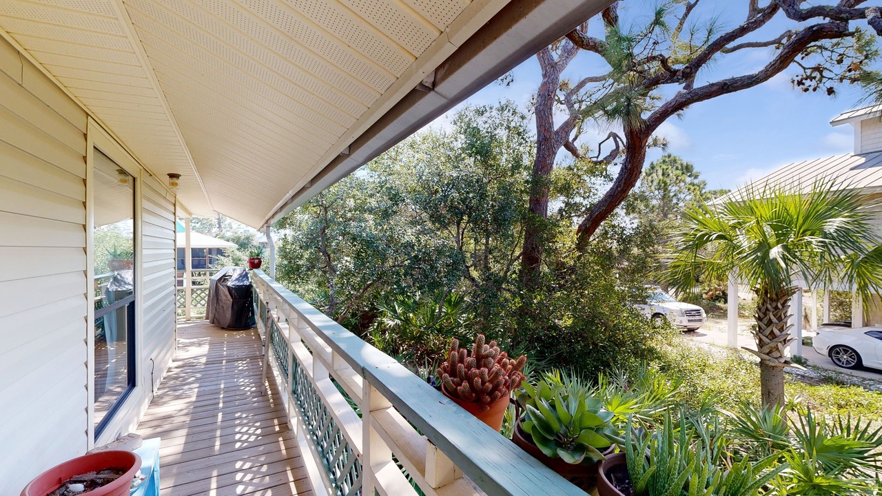 Photo of Outdoor in Cape San Blas
