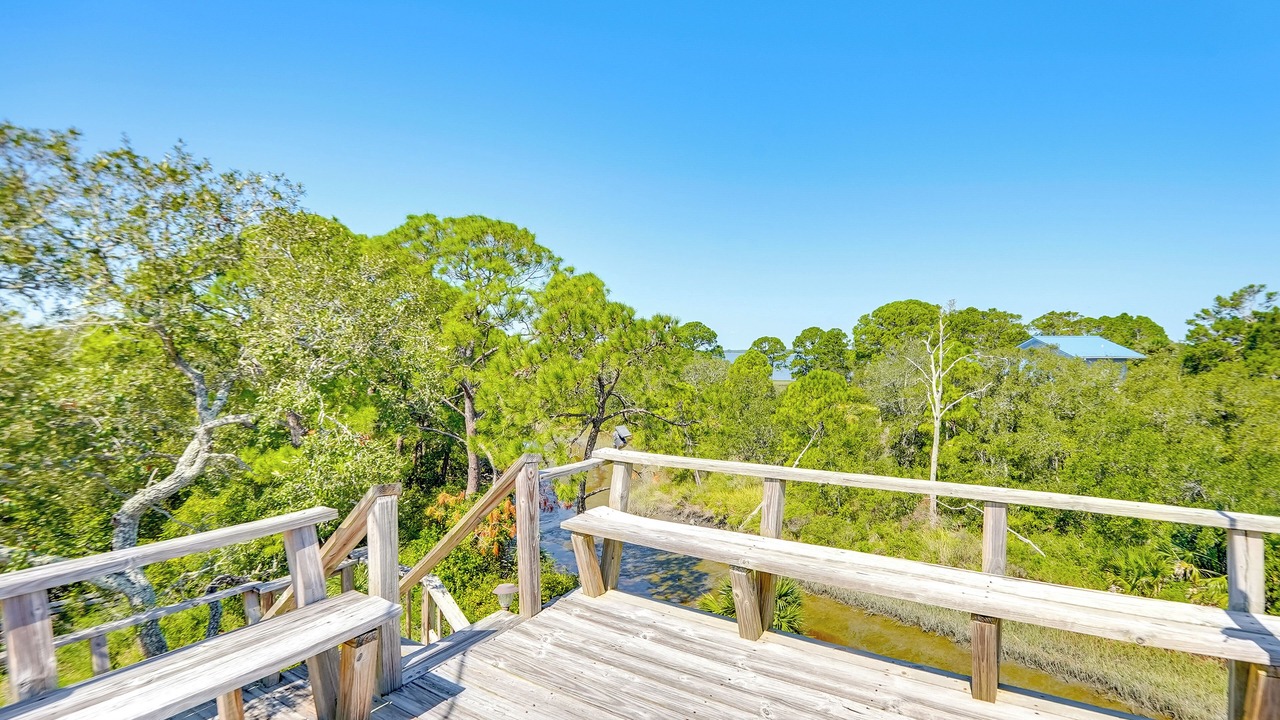 Photo of Outdoor in Alligator Point
