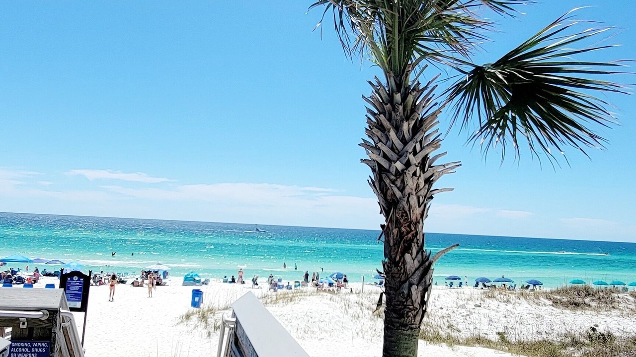 Photo of Others in Crystal Shores