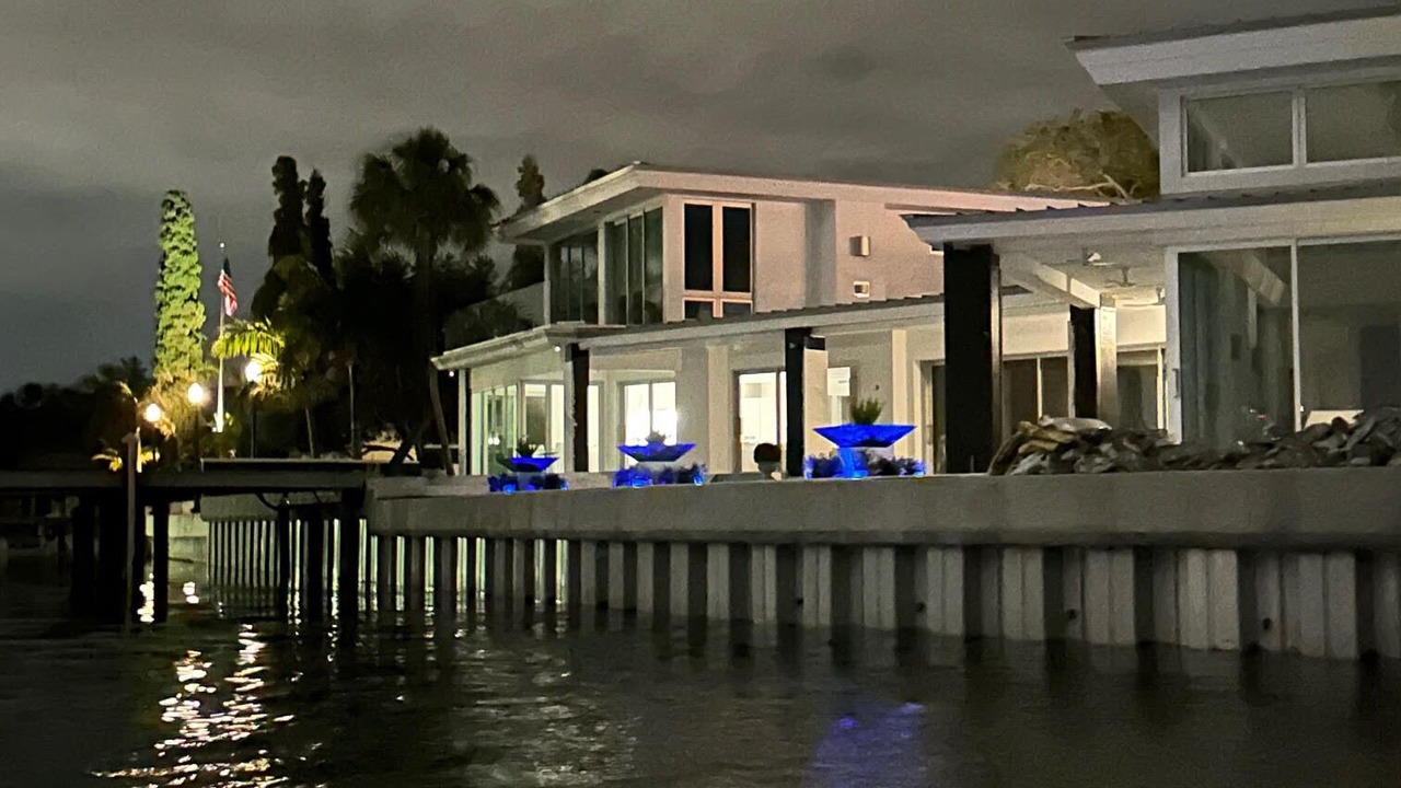 Photo of Outdoor in St. Petersburg - Clearwater