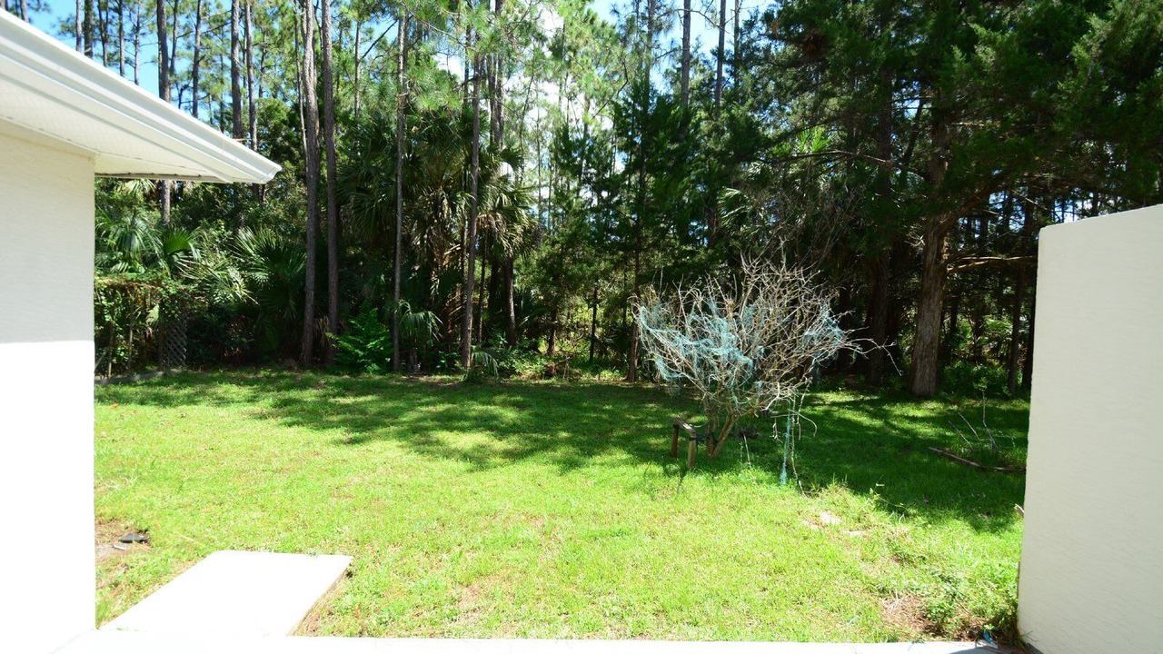 Photo of Outdoor in Indian Trails