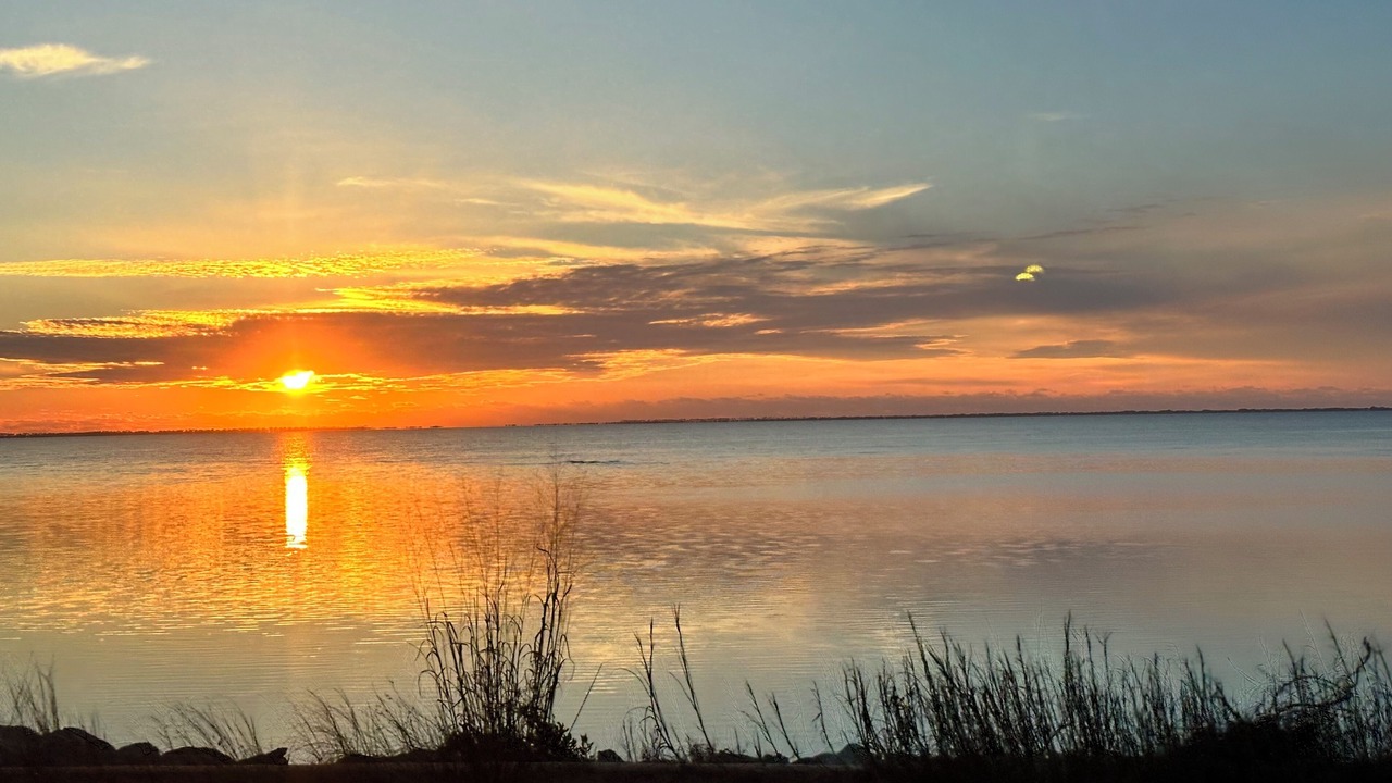 Photo of Others in Port St. Joe