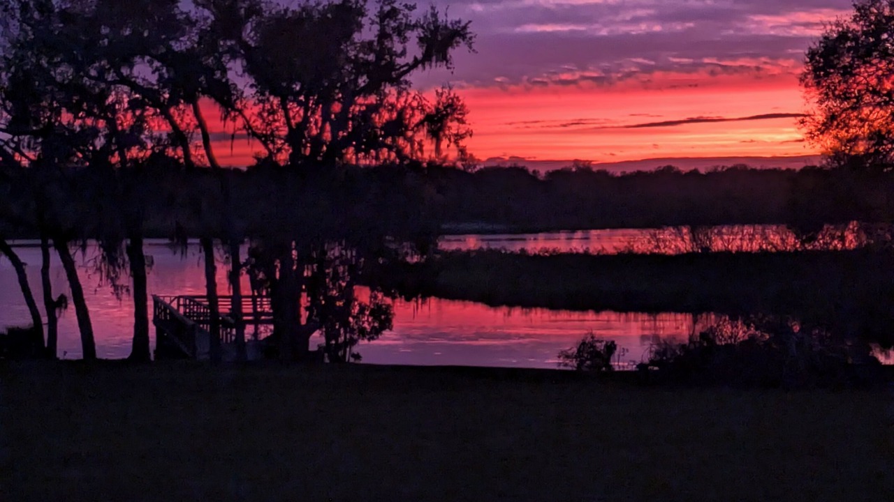 Photo of Others in Braden River