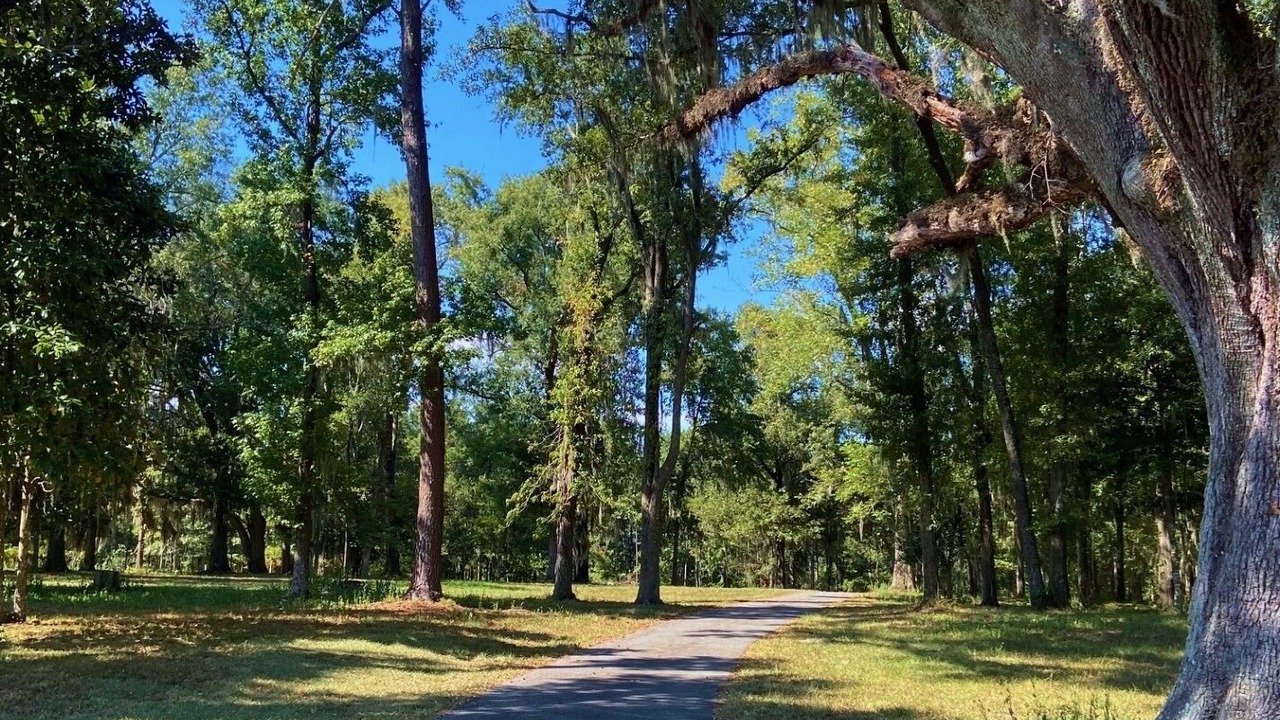 Photo of Others in Mount Pleasant