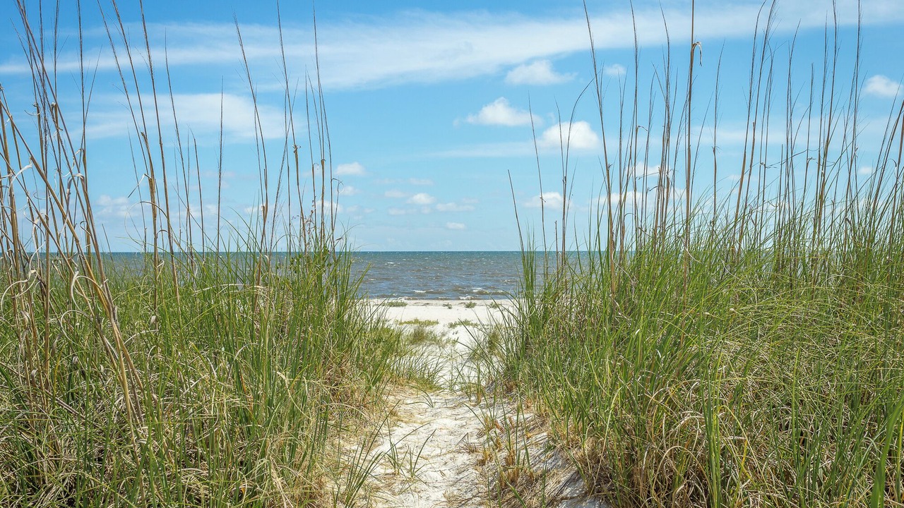 Photo of Others in Alligator Point