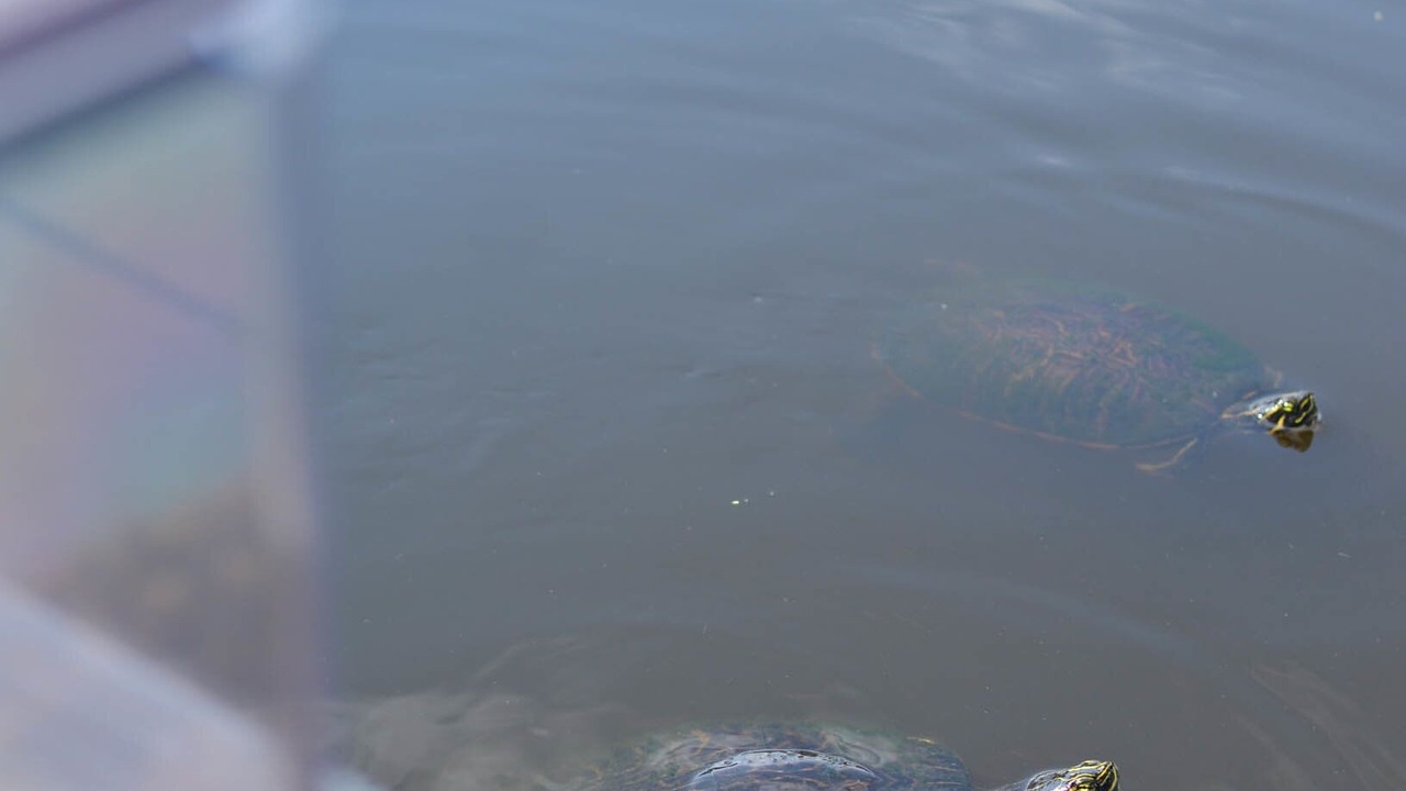 Photo of Others in Sanford