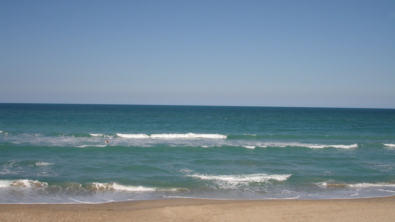 Photo of Others in Jensen Beach