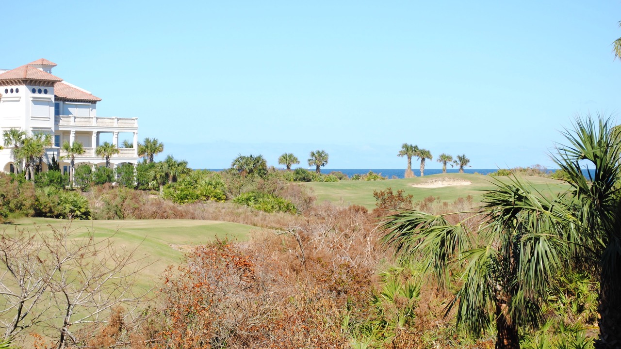 Photo of Others in Palm Coast