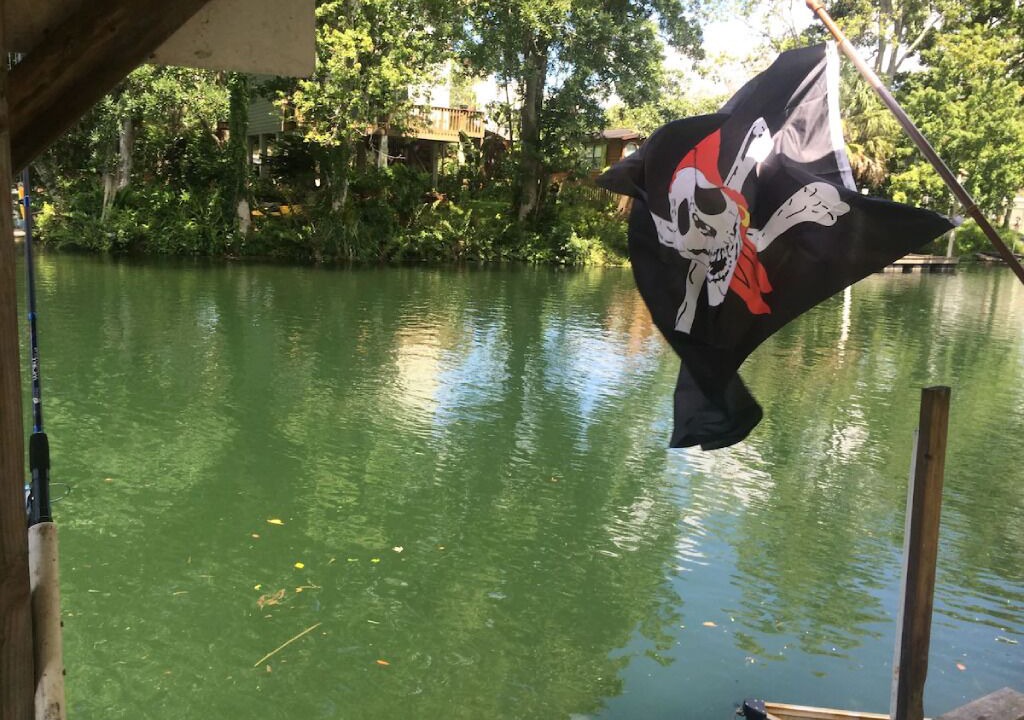 Photo of Others in Weeki Wachee Gardens