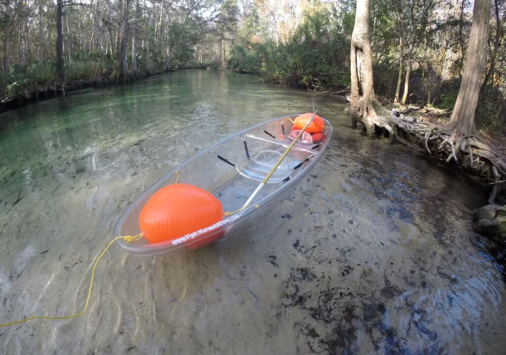 Photo of Others in Weeki Wachee Gardens
